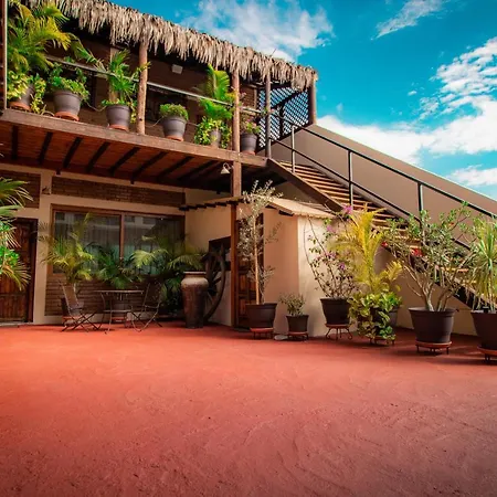 Residence Las Flores-3